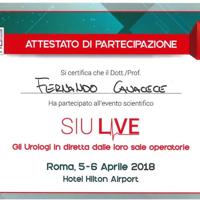 Ingrandire l'immagine: certificate 44