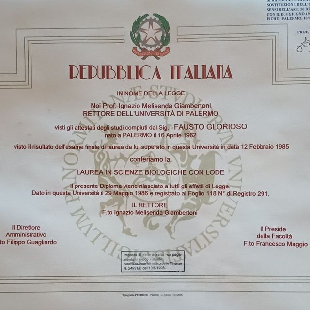 Ingrandire l'immagine: certificate 1