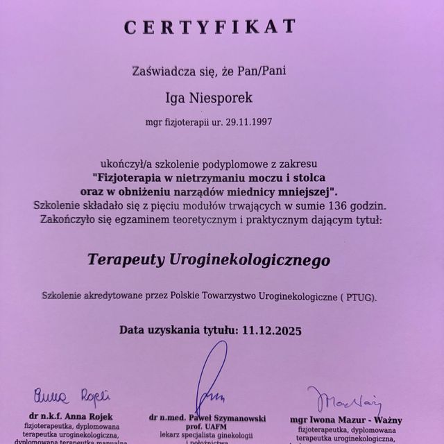 Powiększ obraz: certificate 1
