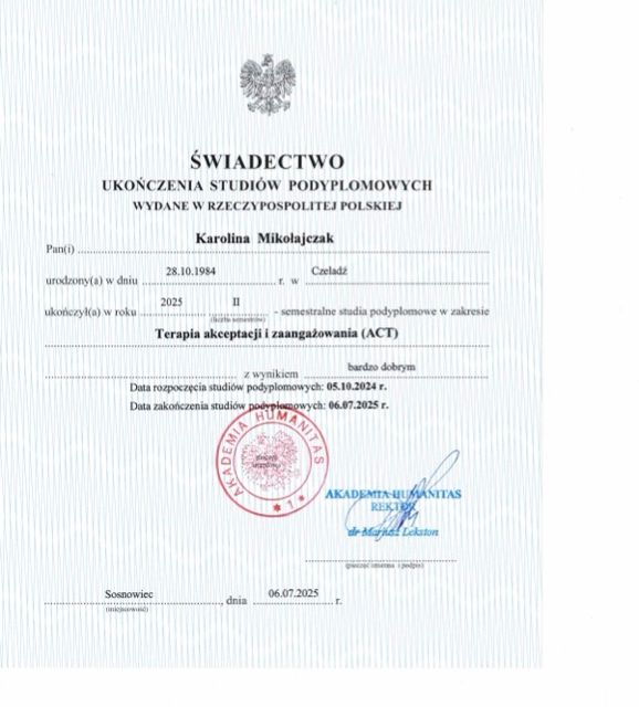 Powiększ obraz: certificate 3
