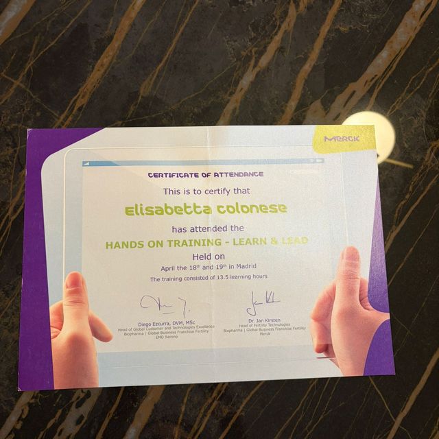 Ingrandire l'immagine: certificate 29