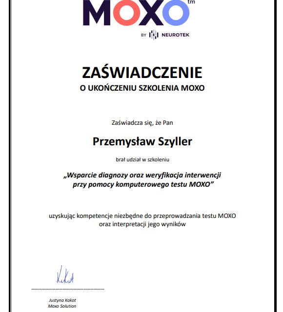 Powiększ obraz: certificate 2