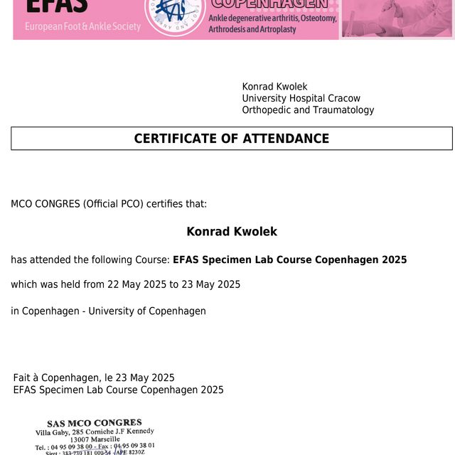 Powiększ obraz: certificate 11