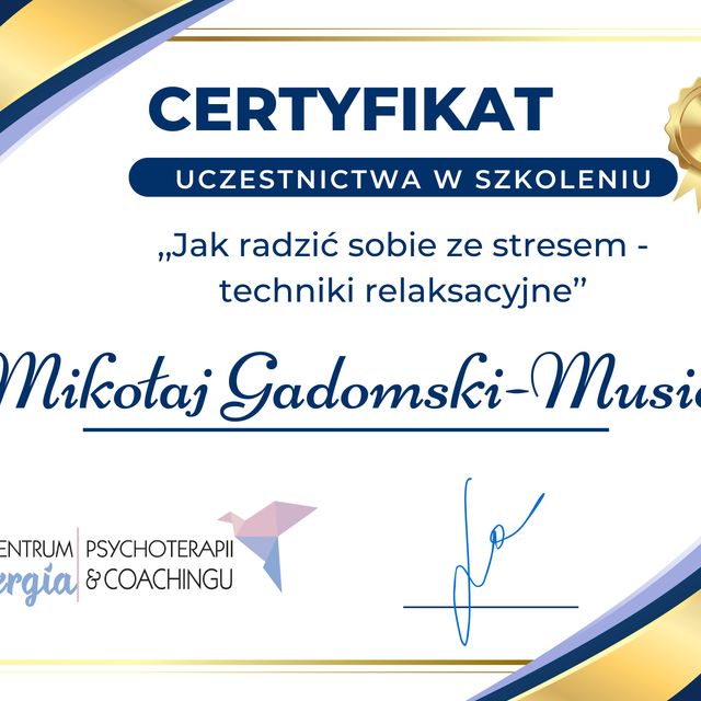Powiększ obraz: certificate 1