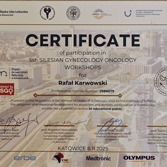 Powiększ obraz: certificate 10