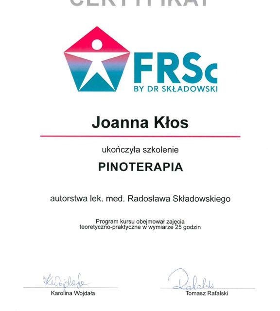 Powiększ obraz: certificate 3