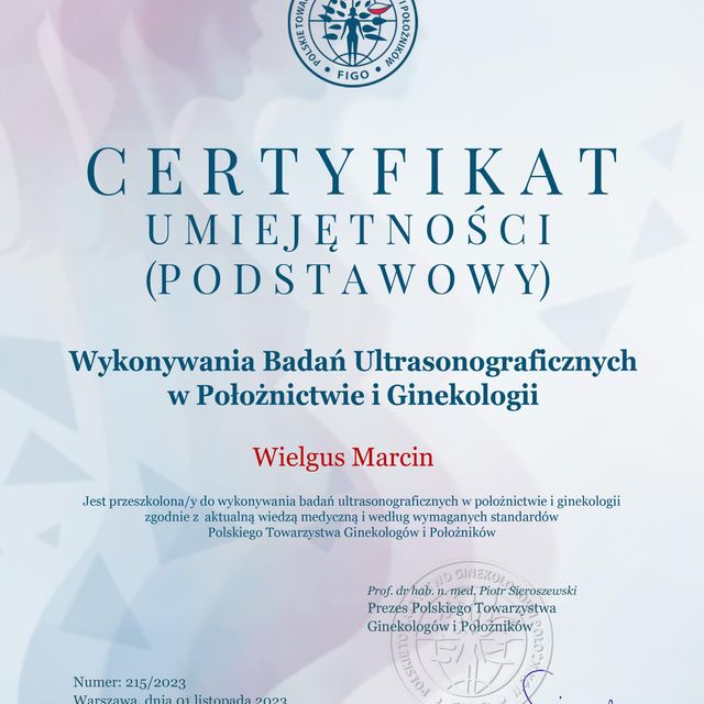 Powiększ obraz: certificate 1