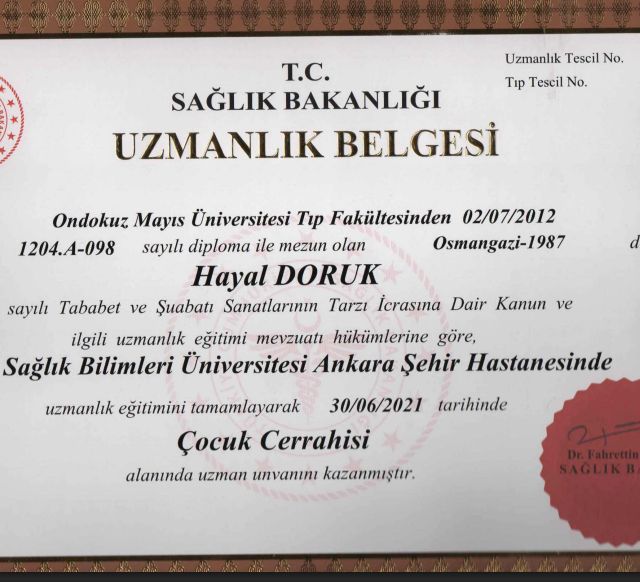 Resmi büyüt: certificate 2