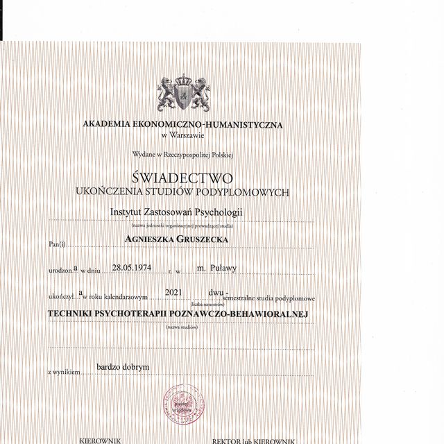 Powiększ obraz: certificate 1