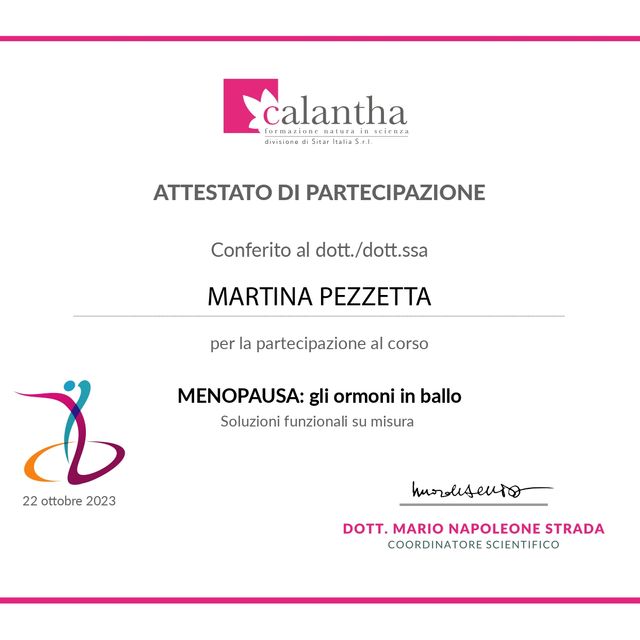 Ingrandire l'immagine: certificate 4