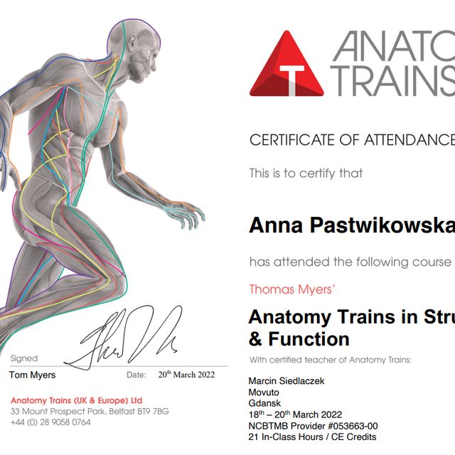 Powiększ obraz: certificate 5