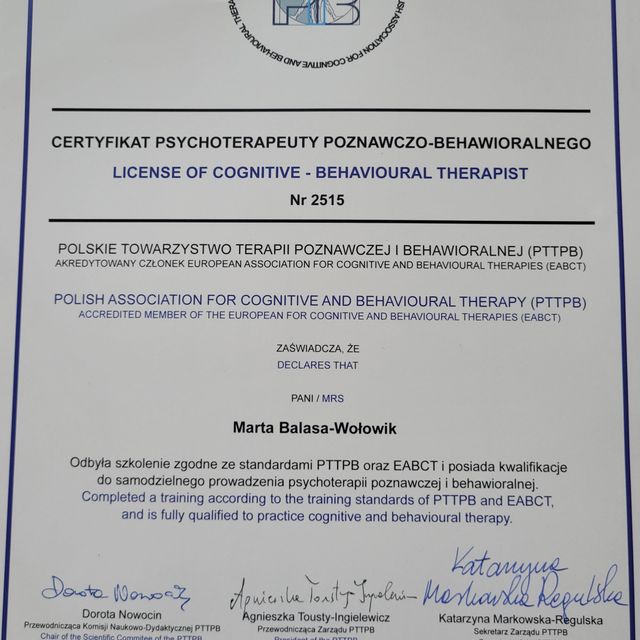 Powiększ obraz: certificate 1