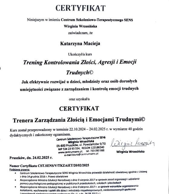 Powiększ obraz: certificate 2