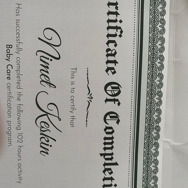 Resmi büyüt: certificate 9