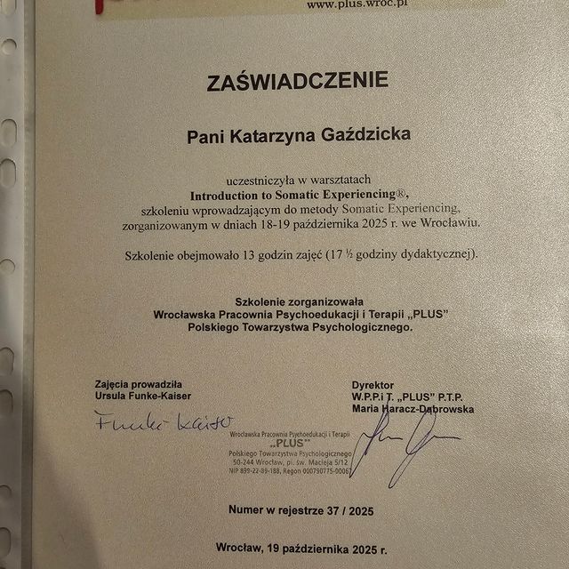 Powiększ obraz: certificate 29