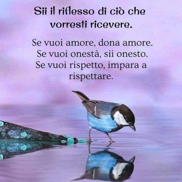 Ingrandire l'immagine: certificate 25