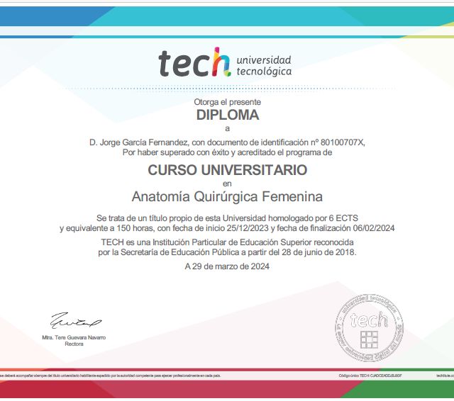 Acercar imagen: certificate 17