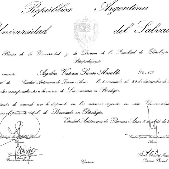 Acercar imagen: certificate 4