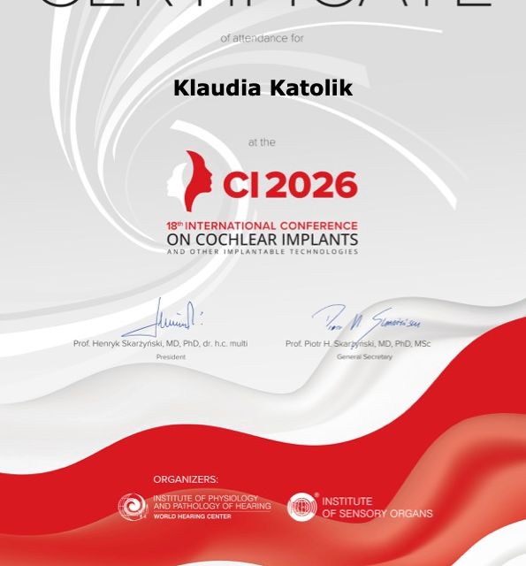 Powiększ obraz: certificate 3