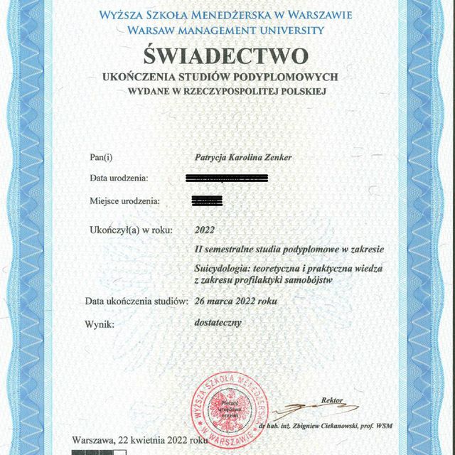 Powiększ obraz: certificate 2
