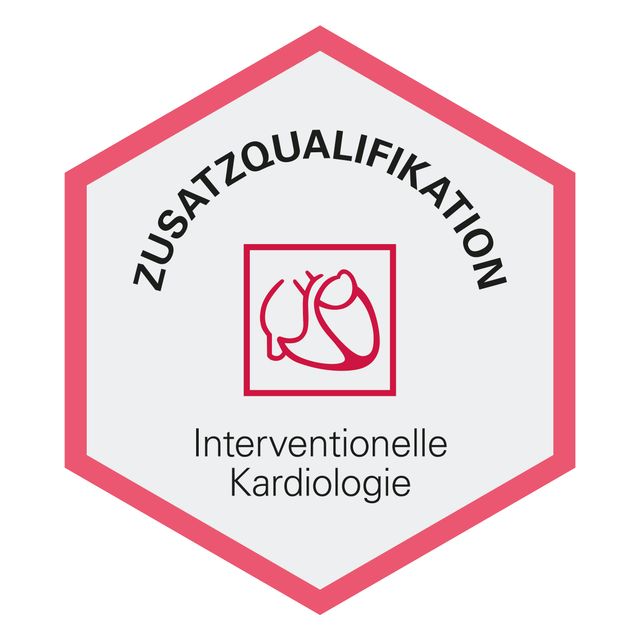 Bild vergrößern: certificate 1