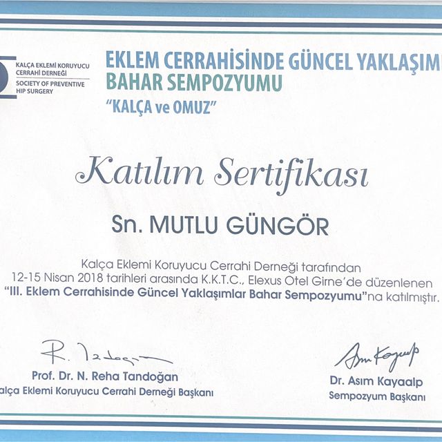 Resmi büyüt: certificate 1