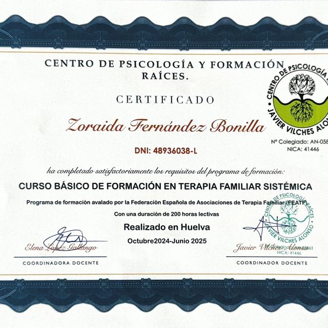 Acercar imagen: certificate 4