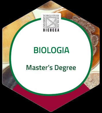 Ingrandire l'immagine: certificate 3