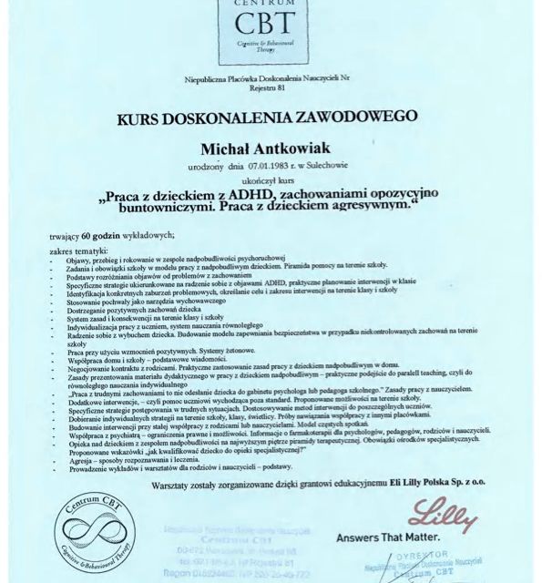 Powiększ obraz: certificate 3