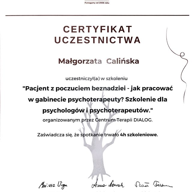 Powiększ obraz: certificate 3