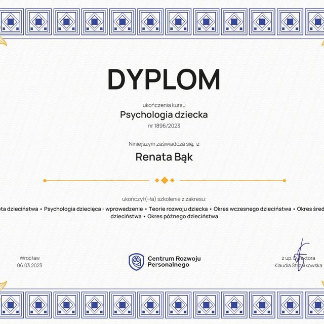 Powiększ obraz: certificate 6