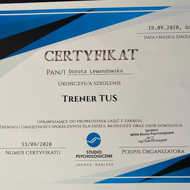 Powiększ obraz: certificate 3
