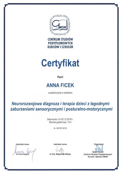 Powiększ obraz: certificate 4