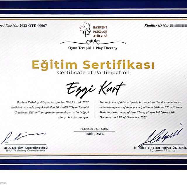 Resmi büyüt: certificate 6