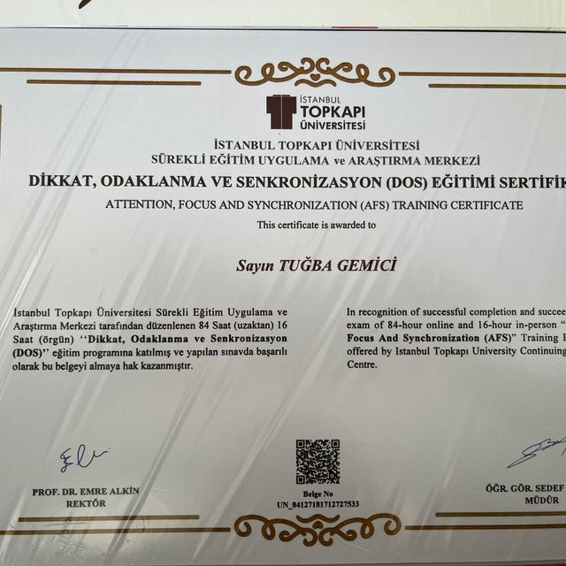 Resmi büyüt: certificate 2