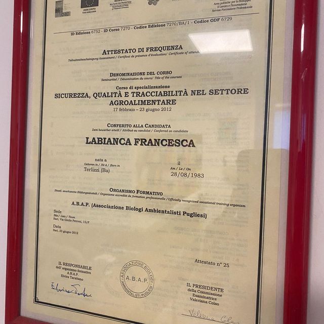 Ingrandire l'immagine: certificate 3