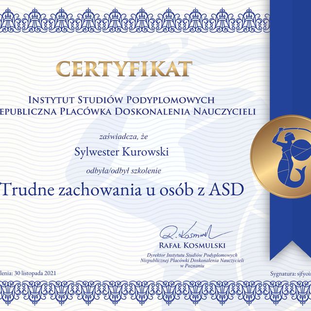 Powiększ obraz: certificate 6