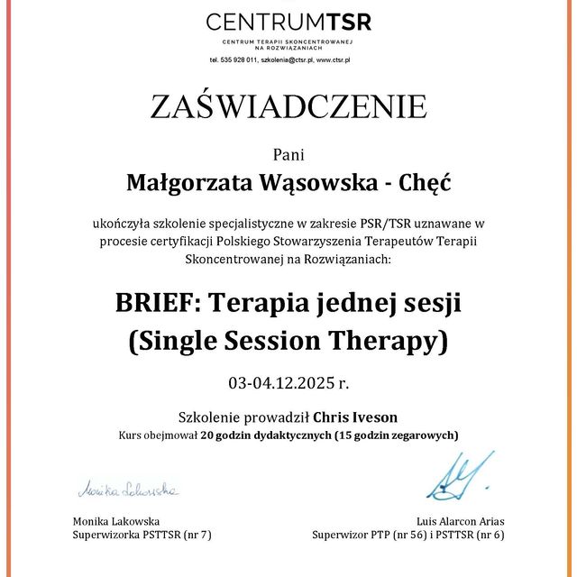 Powiększ obraz: certificate 132