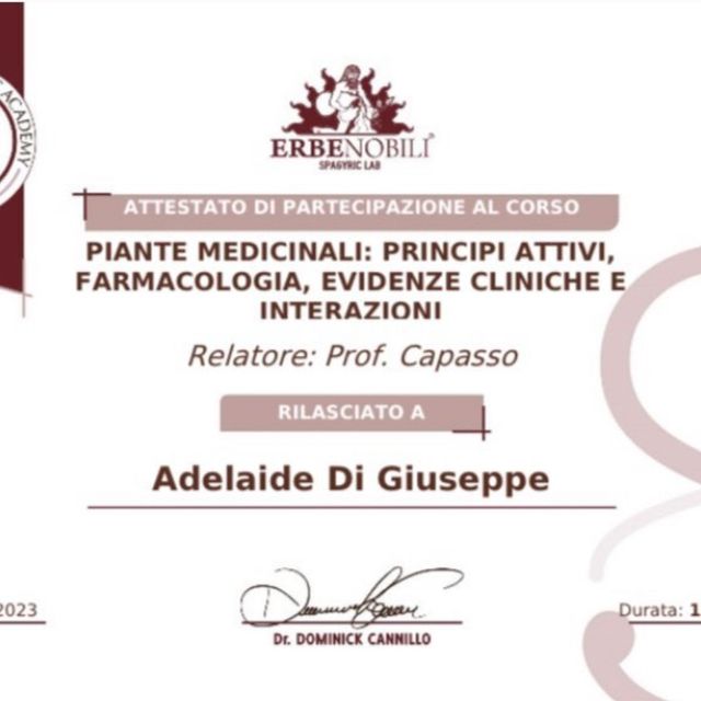Ingrandire l'immagine: certificate 6