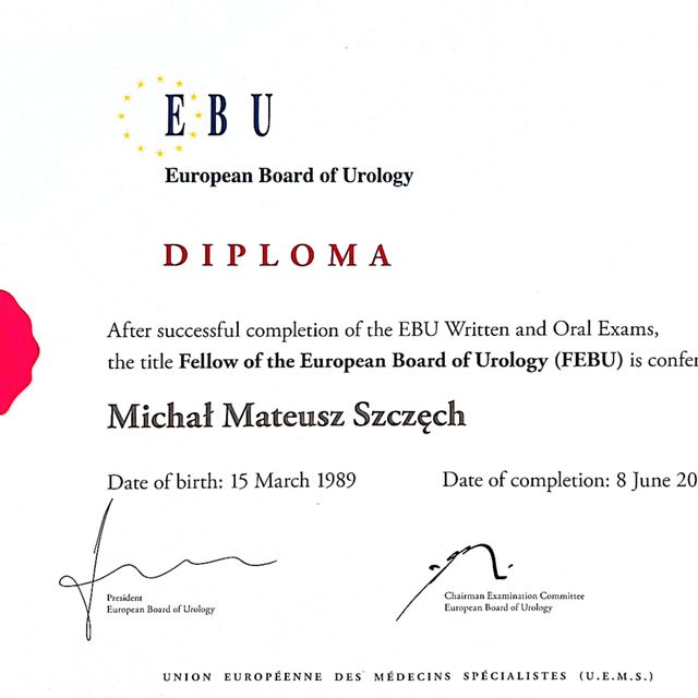 Powiększ obraz: certificate 1