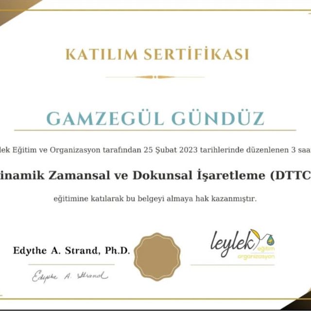 Resmi büyüt: certificate 7