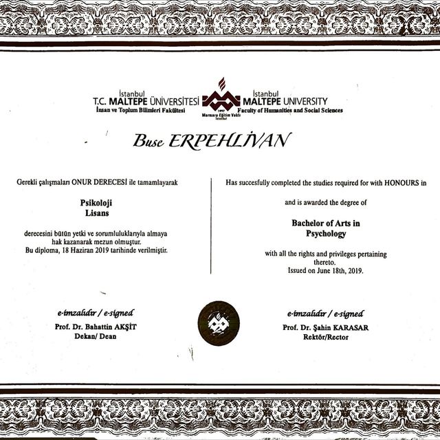 Resmi büyüt: certificate 6