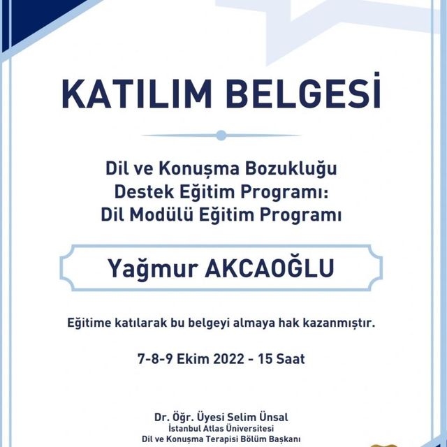 Resmi büyüt: certificate 15