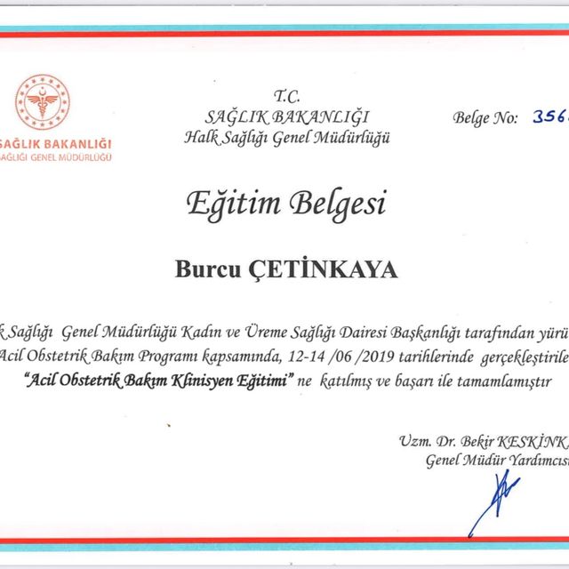 Resmi büyüt: certificate 4