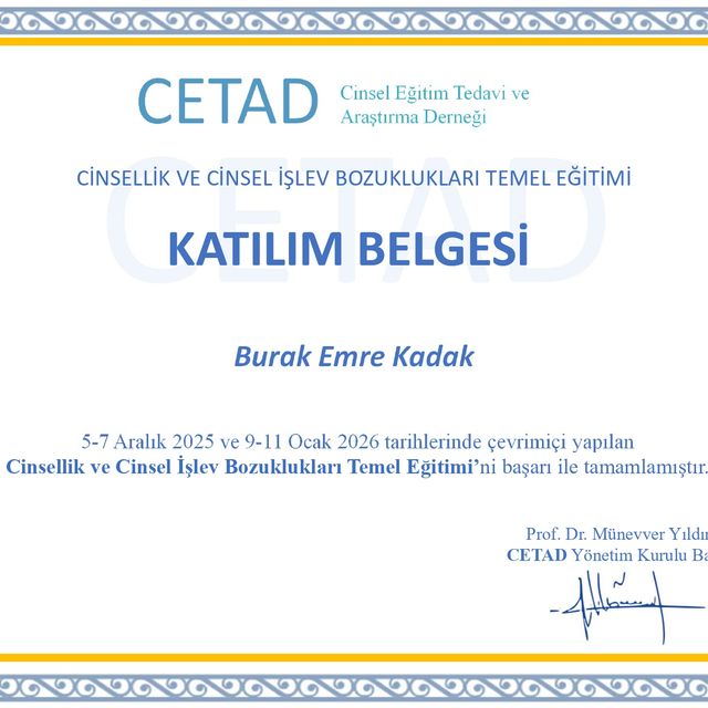 Resmi büyüt: certificate 3