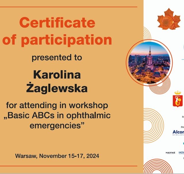 Powiększ obraz: certificate 3