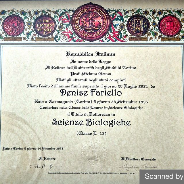 Ingrandire l'immagine: certificate 3