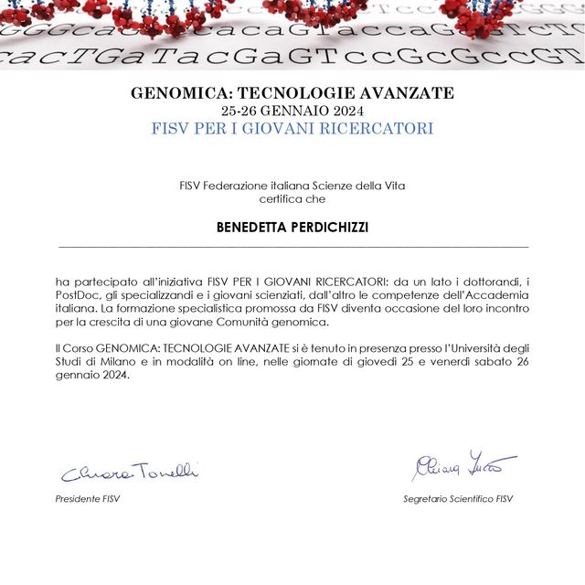 Ingrandire l'immagine: certificate 6