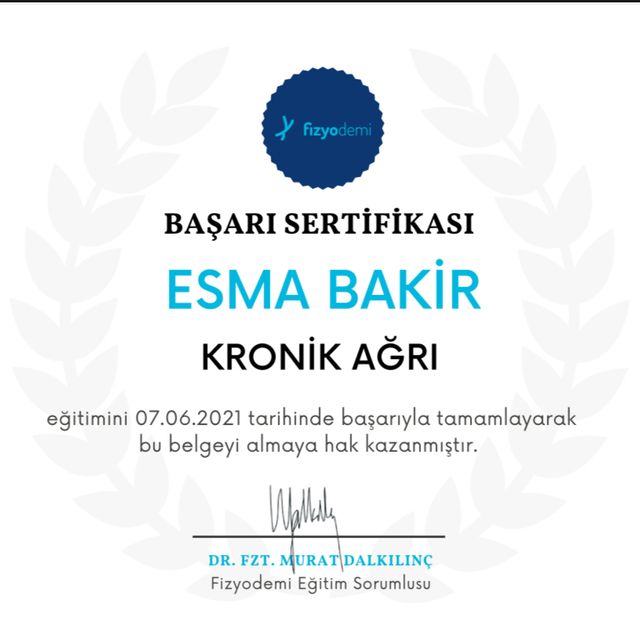 Resmi büyüt: certificate 2