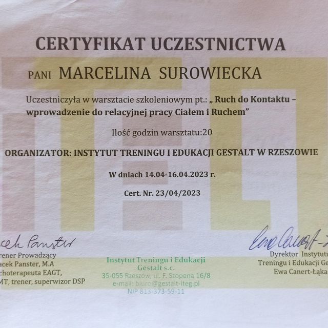 Powiększ obraz: certificate 6